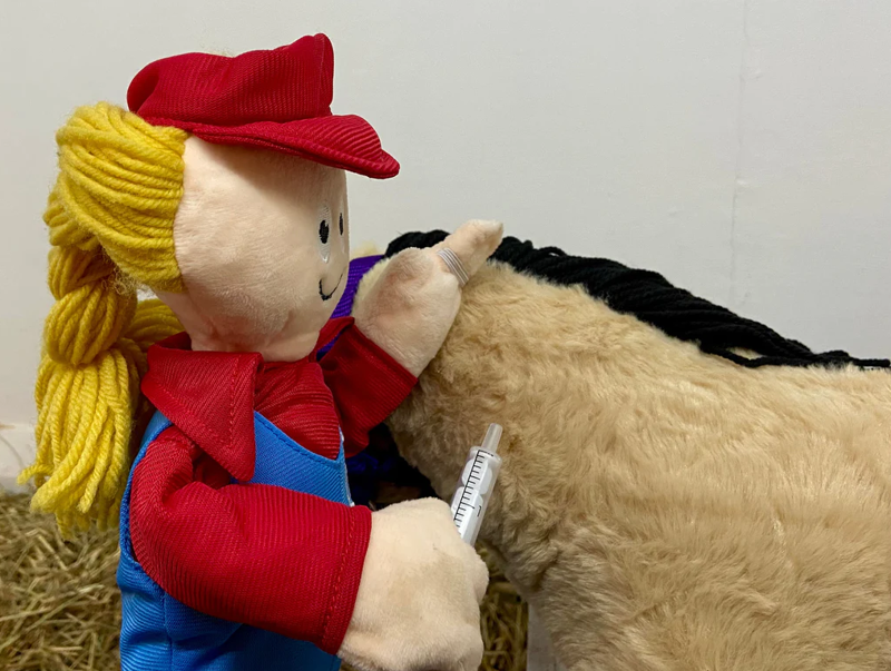 Crafty Ponies Verity Vet And Book-2